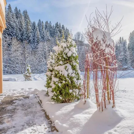 Lejlighed Blick Auf Den Rettenstein 1
