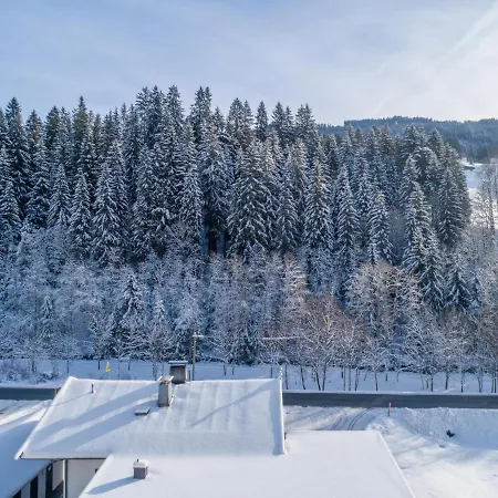 Blick Auf Den Rettenstein 1 Kirchberg in Tirol