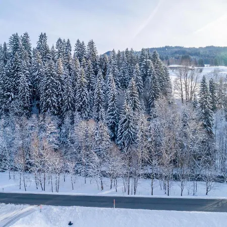 Lejlighed Blick Auf Den Rettenstein 1 Kirchberg in Tirol