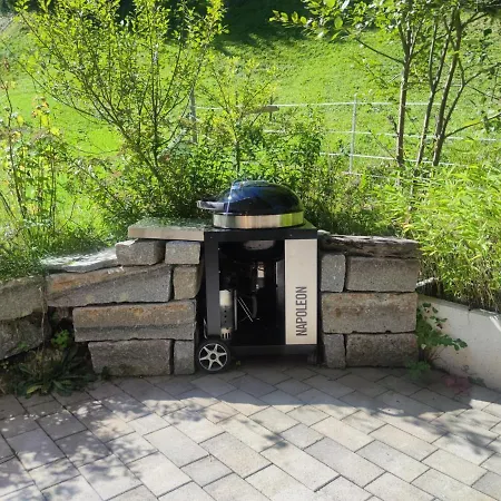 Blick Auf Den Rettenstein 1 *