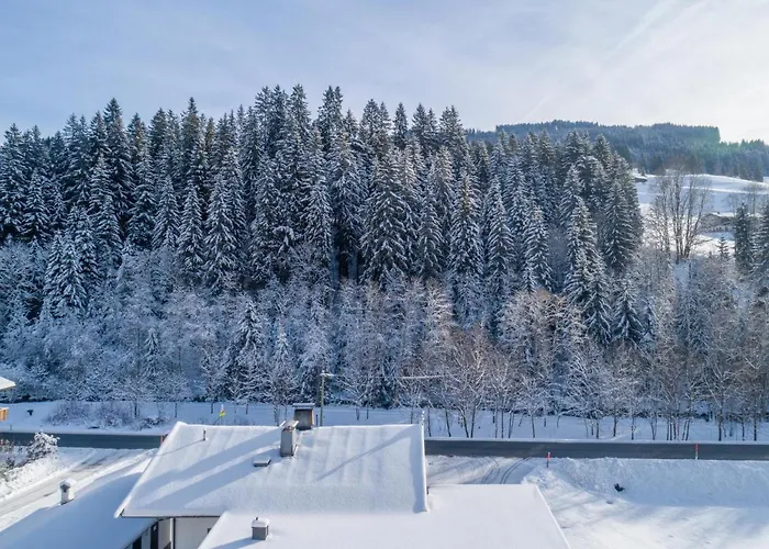 Blick Auf Den Rettenstein 1 Kirchberg in Tirol