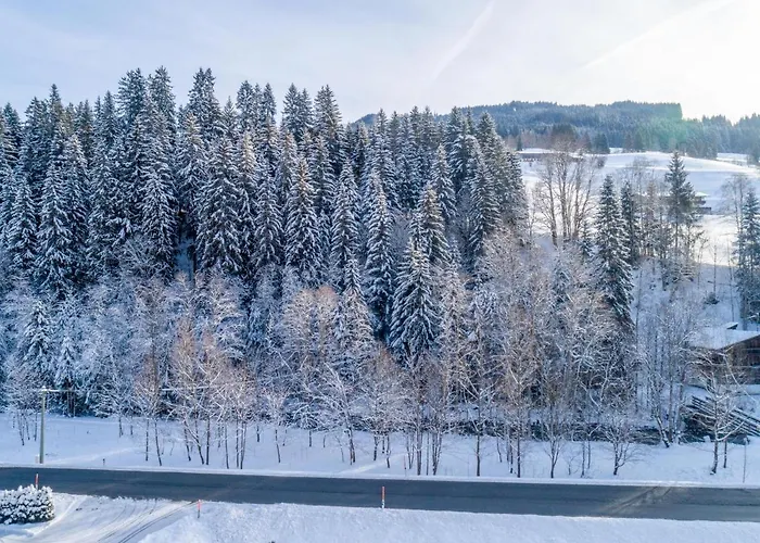 Lägenhet Blick Auf Den Rettenstein Top 1 Kirchberg in Tirol