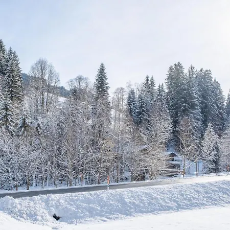 Appartement Blick Auf Den Rettenstein 1