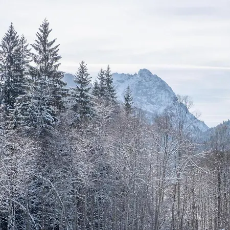 Blick Auf Den Rettenstein 1 Appartement Kirchberg in Tirol