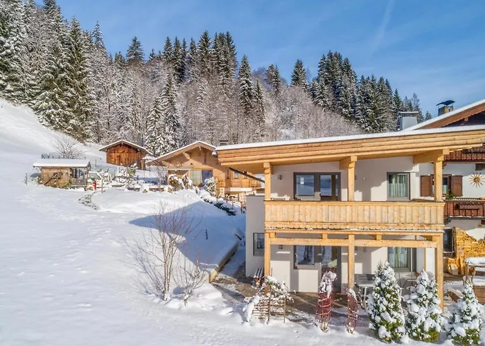 Apartament Blick Auf Den Rettenstein 1 Kirchberg in Tirol
