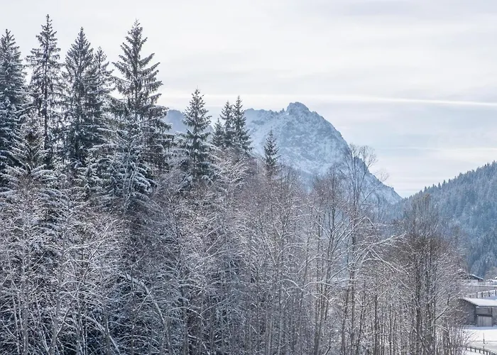 Blick Auf Den Rettenstein 1 Apartament Kirchberg in Tirol